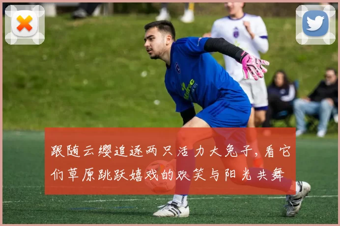 跟随云缨追逐两只活力大兔子,看它们草原跳跃嬉戏的欢笑与阳光共舞