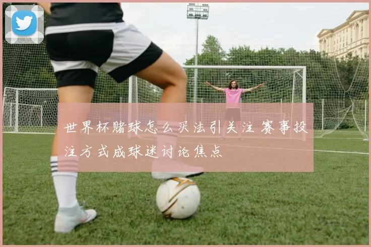 世界杯赌球怎么买法引关注 赛事投注方式成球迷讨论焦点