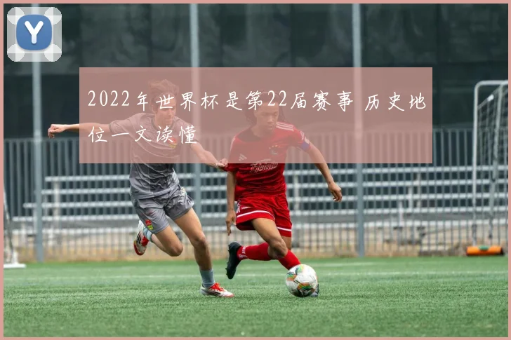 2022年世界杯是第22届赛事 历史地位一文读懂