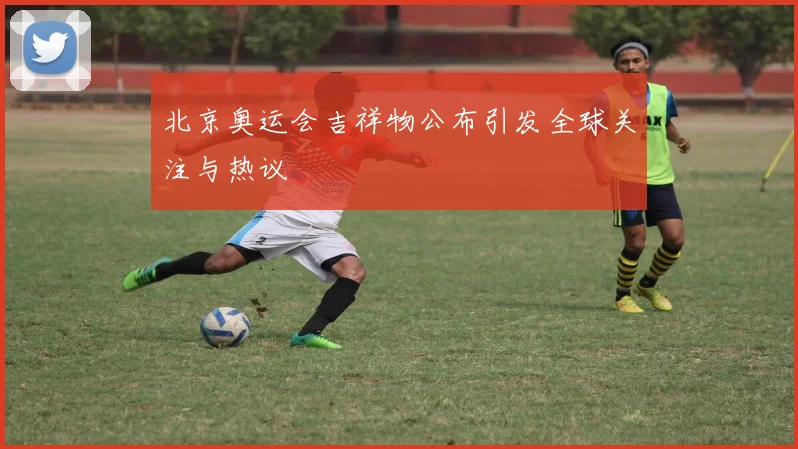 北京奥运会吉祥物公布引发全球关注与热议