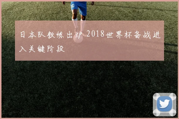 日本队教练出炉 2018世界杯备战进入关键阶段