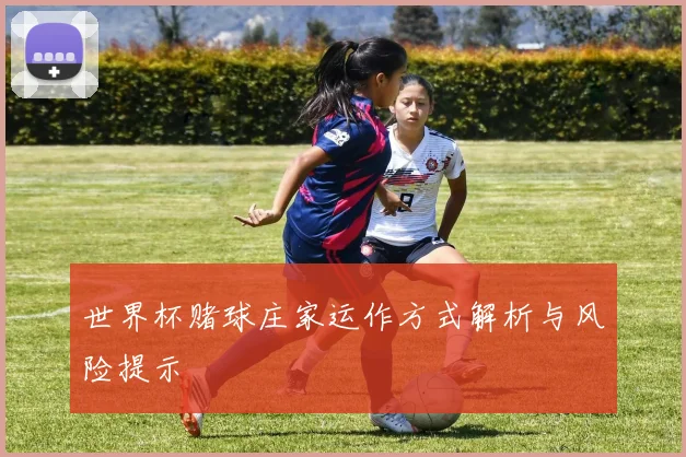 世界杯赌球庄家运作方式解析与风险提示